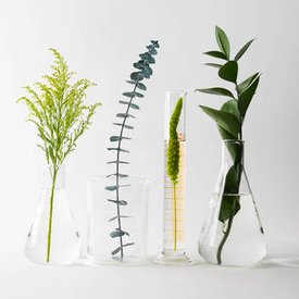 Redken 2018 Nature Science Social Posts 29